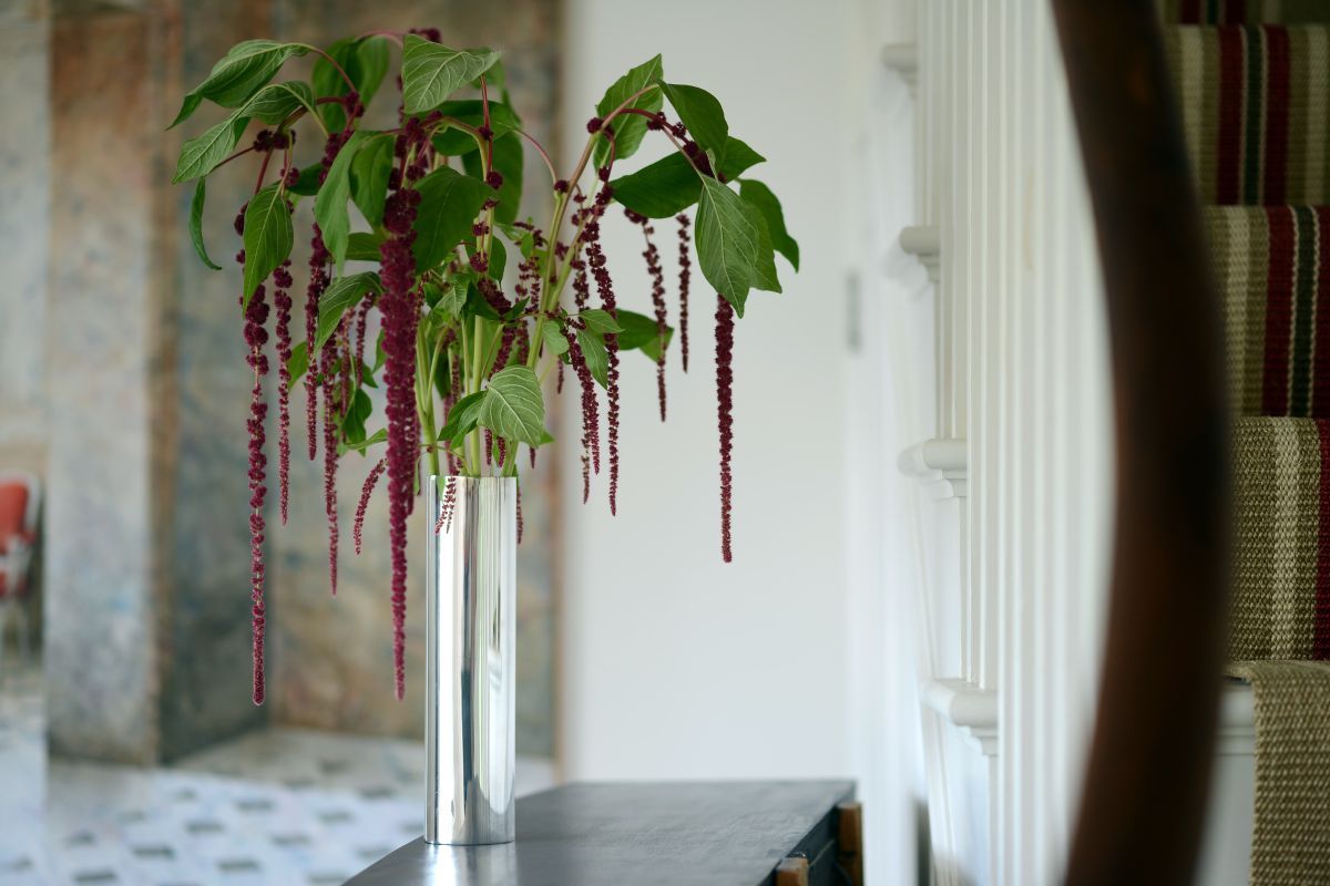Amaranthus summer flower arrangement.jpg