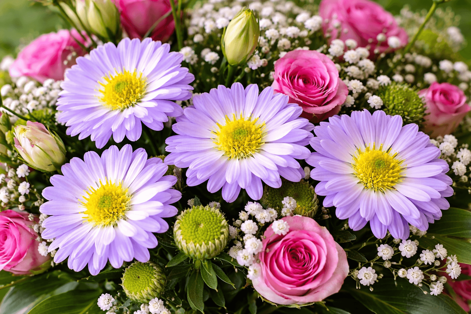 Aster Flower September birth flower.png