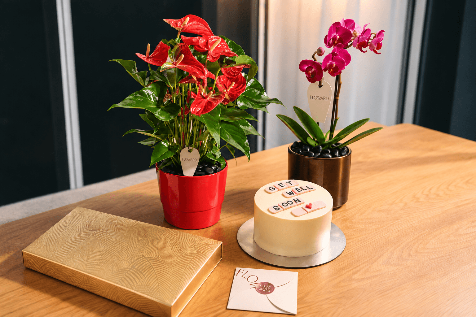 Best Plants for a Thoughtful Get Well Soon Gift