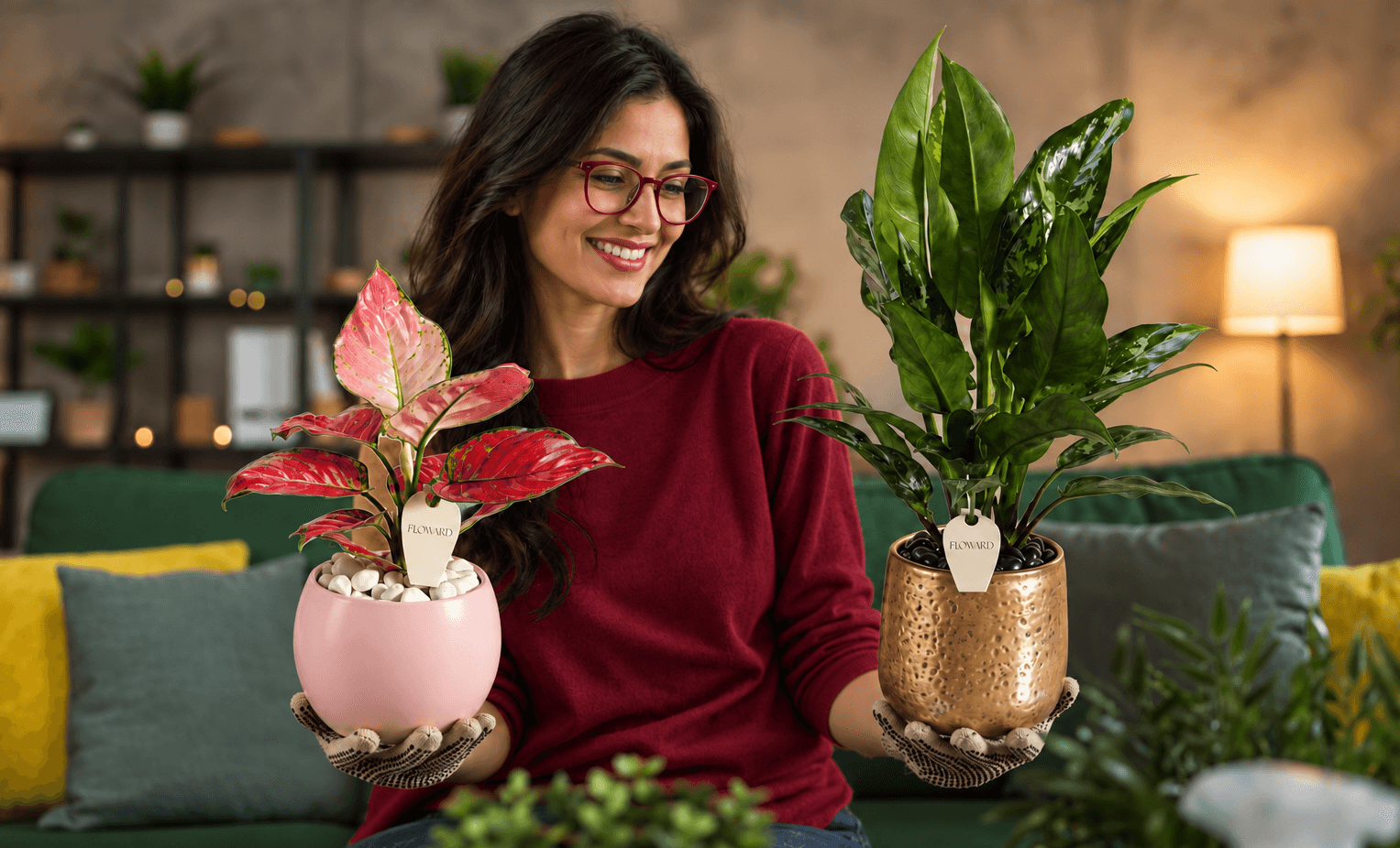 7 Colorful Indoor Plants for a Cozy Autumn Home Décor