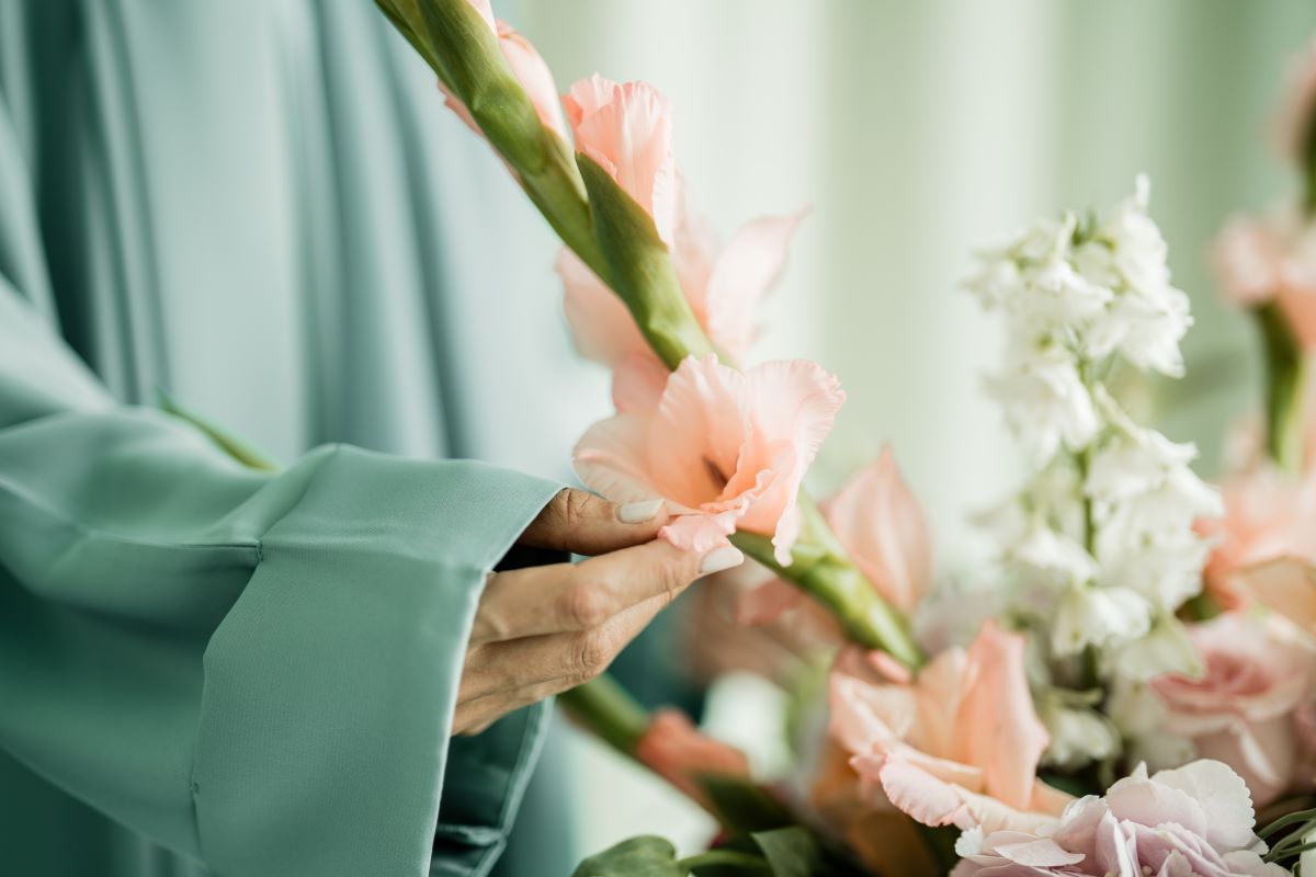 Gladiolus flower summer flowers.jpg