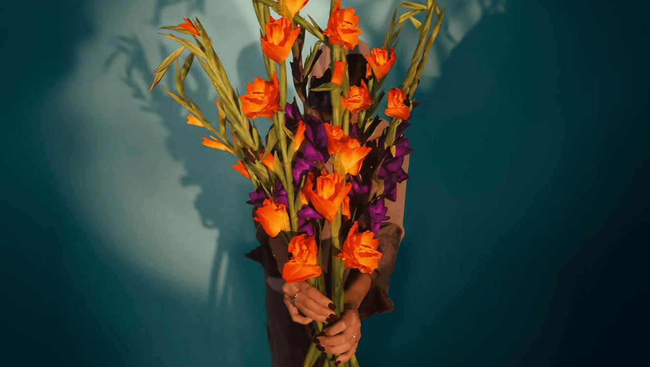 Gladiolus flowers - Floward online flowers delivery.png