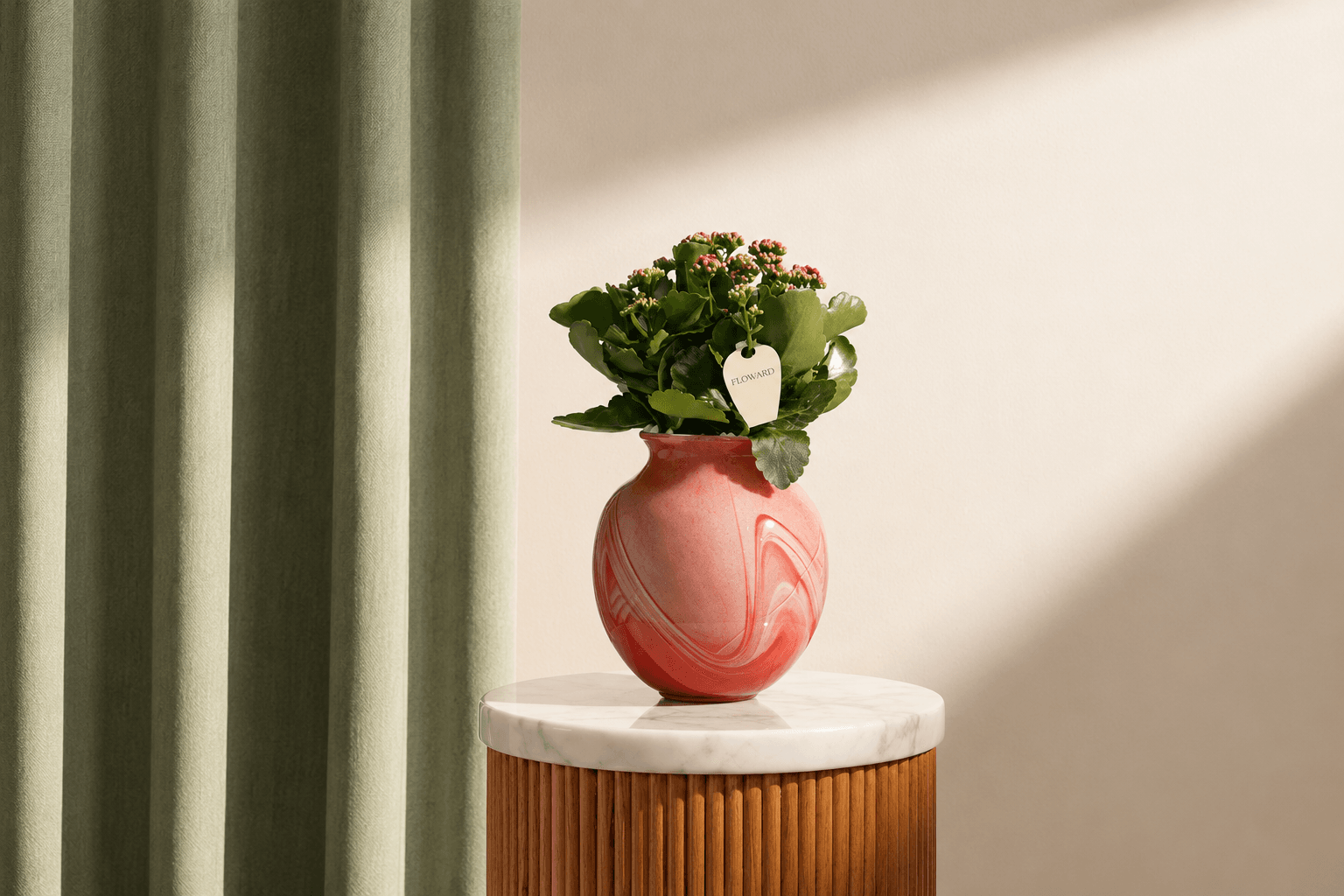 Kalanchoe plant in pink pot - Floward online gifts.png