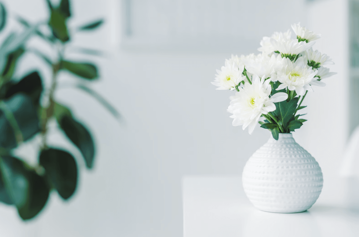 Milk glass vase with white carnation flowers- Floward.png