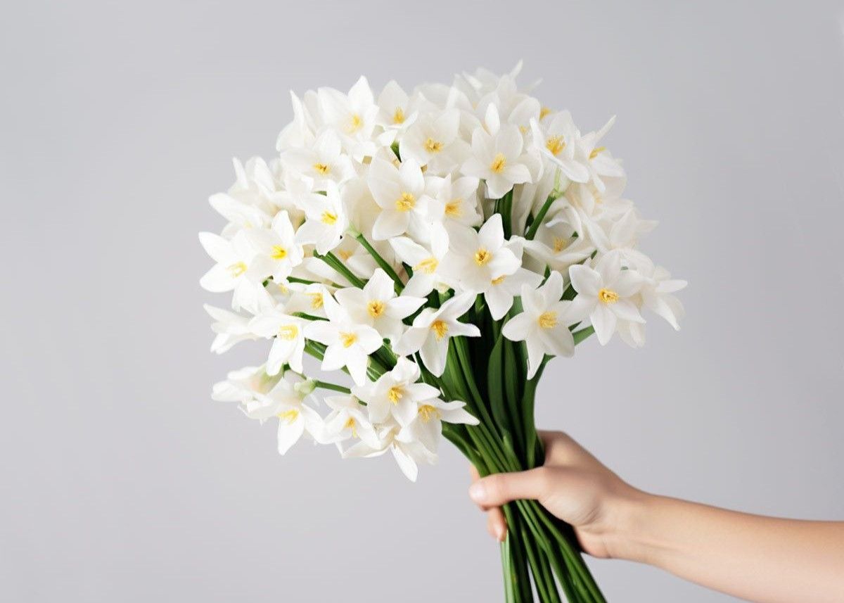 Paperwhite Narcissus bouquet.jpg
