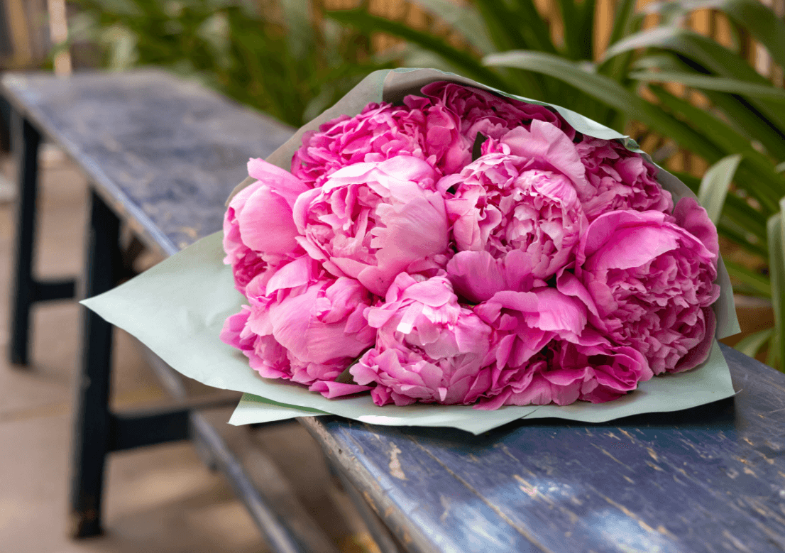 Fascinating Facts About Peonies Beauty & Meanings