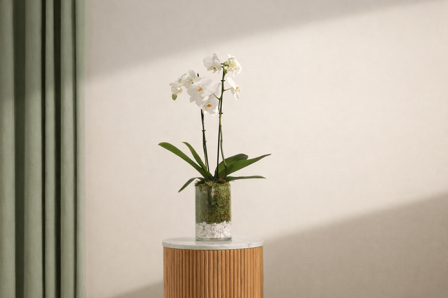 Serene orchid as a retirement gift.png