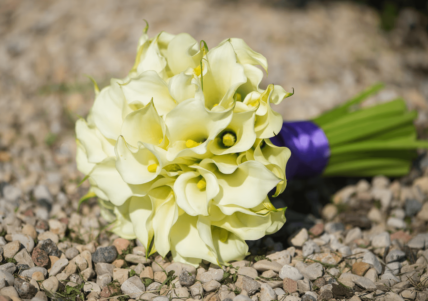 Yellow calla lilies bouquet.png