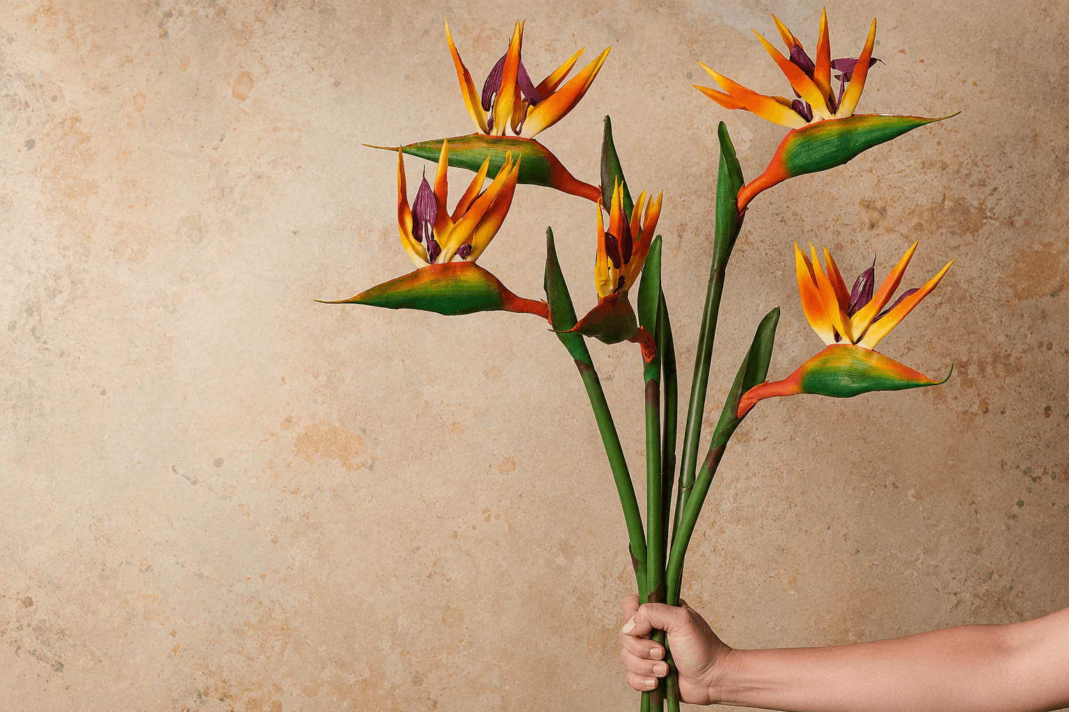 birds of paradise flower arrangement for summer.png