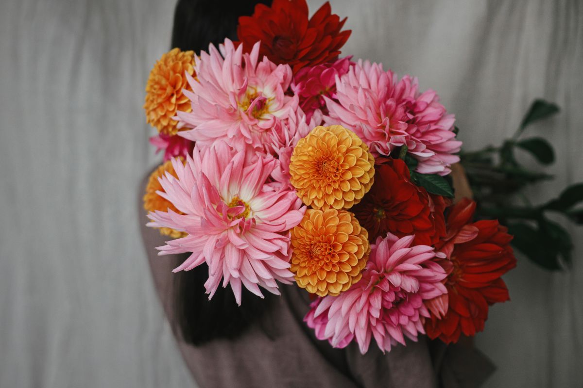 colorful-bouquet-of-dahlias-summer flowers.jpg