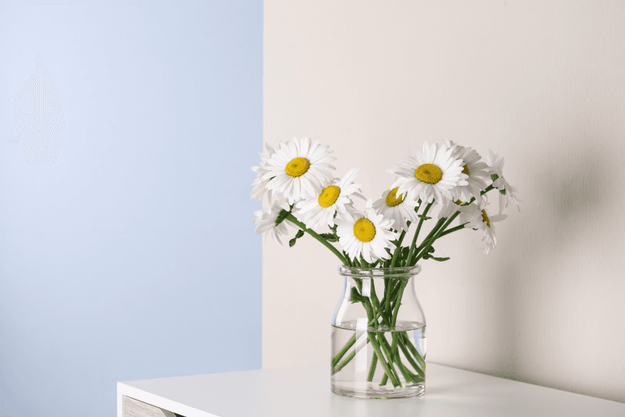 daisy flowers in vase.png