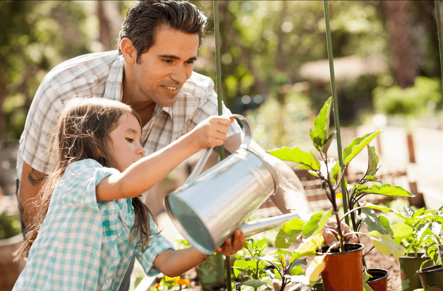 father's day gardening gifts.png