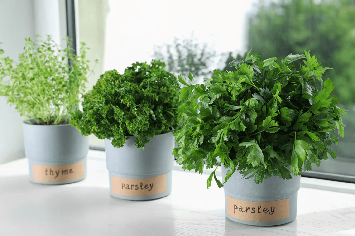 herb gardening kit for father's day.png