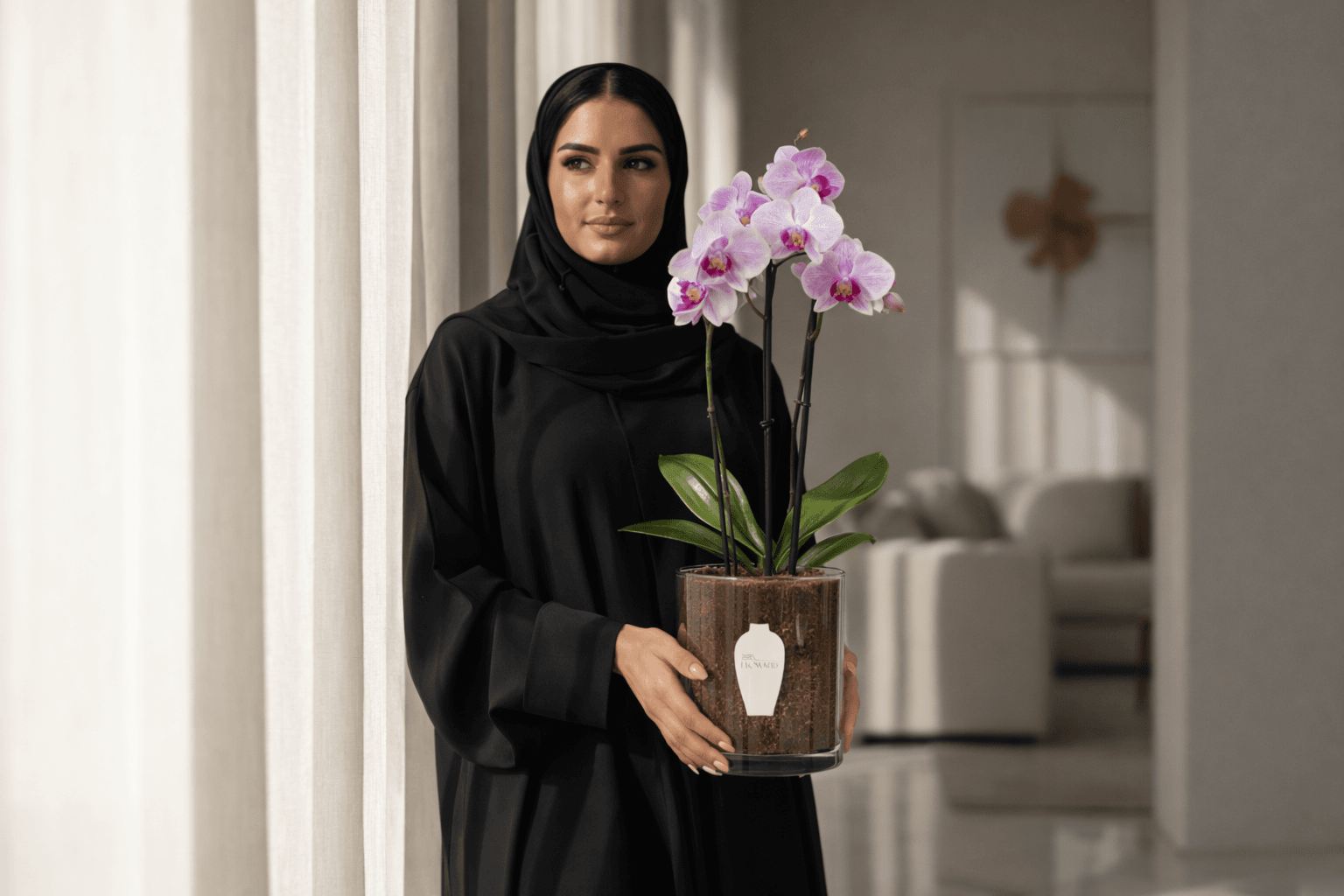 دليل العناية بنبات الأوركيد في المنزل