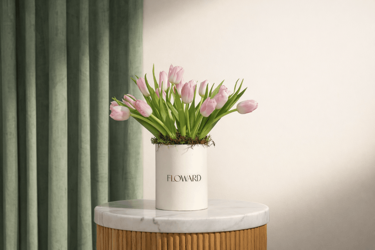 how to grow tulips at home.png