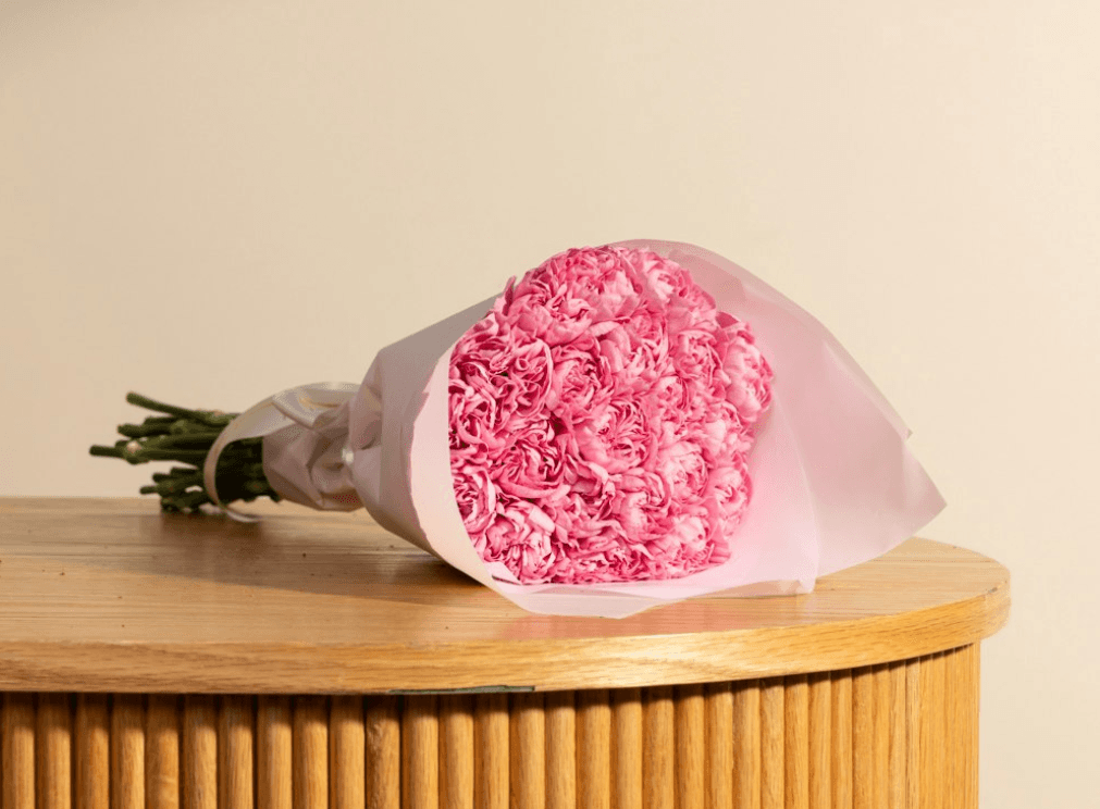 january birth flower pink carnation.png