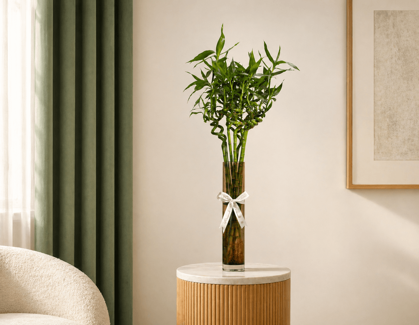 lucky bamboo to symbolize luck.png