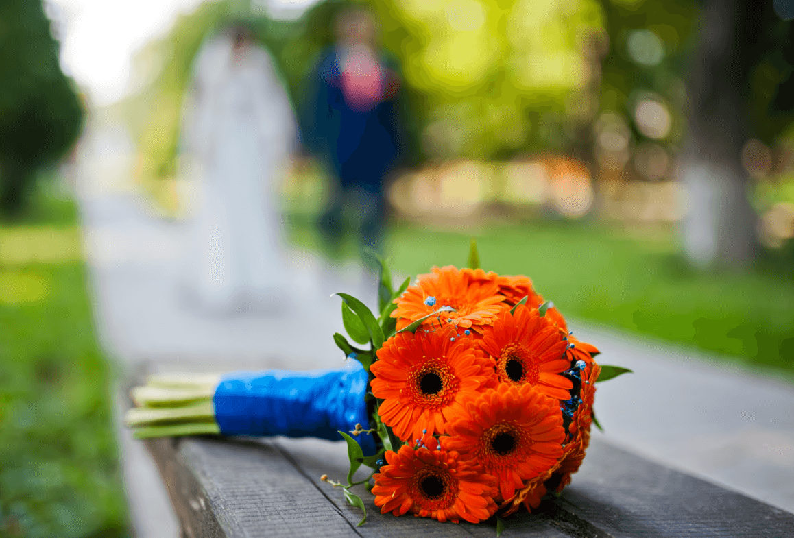 orange gerbera bouquet - Floward fresh flowers delivery.png