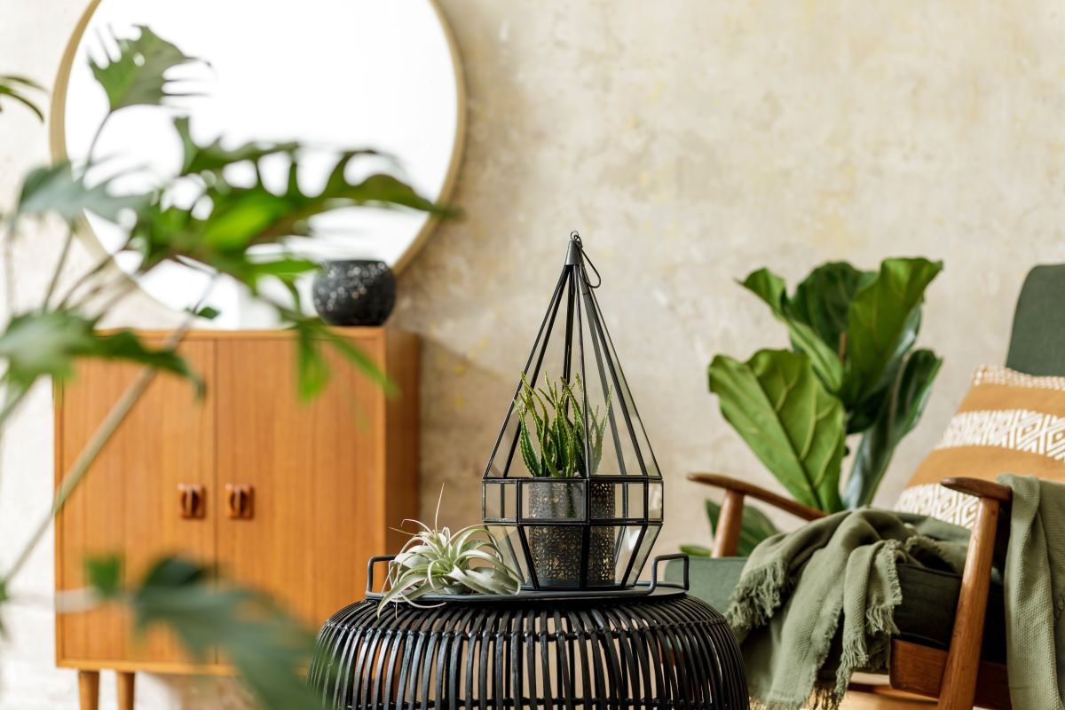 plant gifts for introverts birthday.jpg