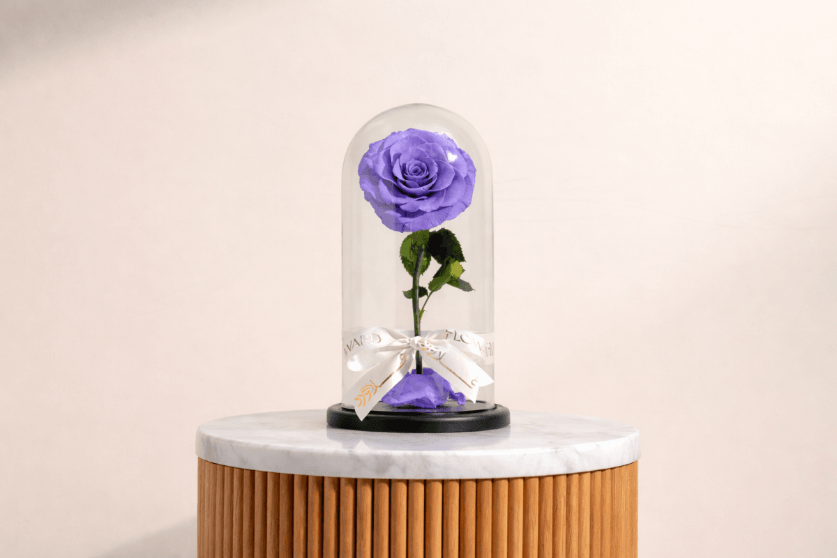 purple rose preserved purple rose.png