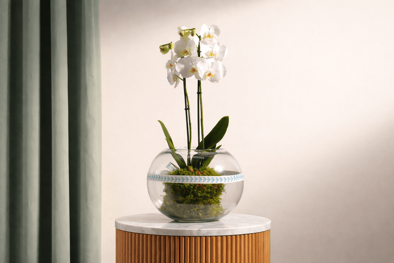 romantic orchid flowers for lovers.png