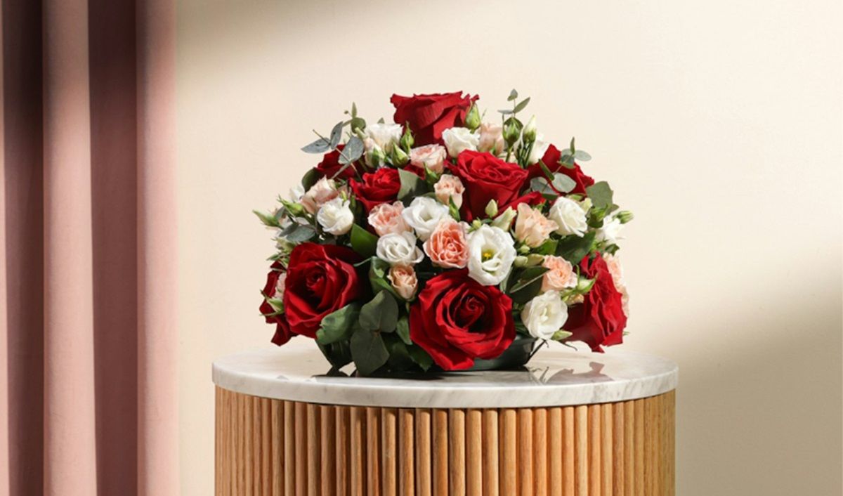 roses safe for pets.jpg