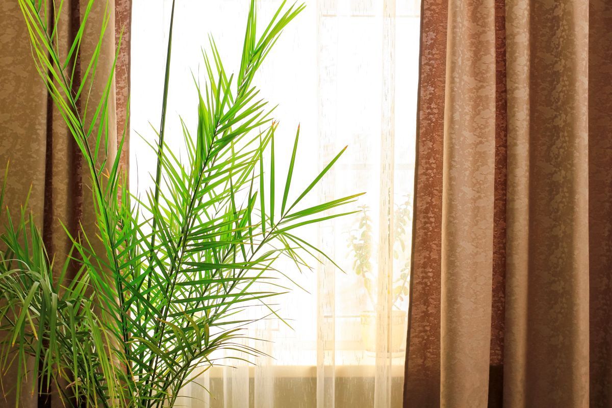 soft linen curtains for summer home.jpg