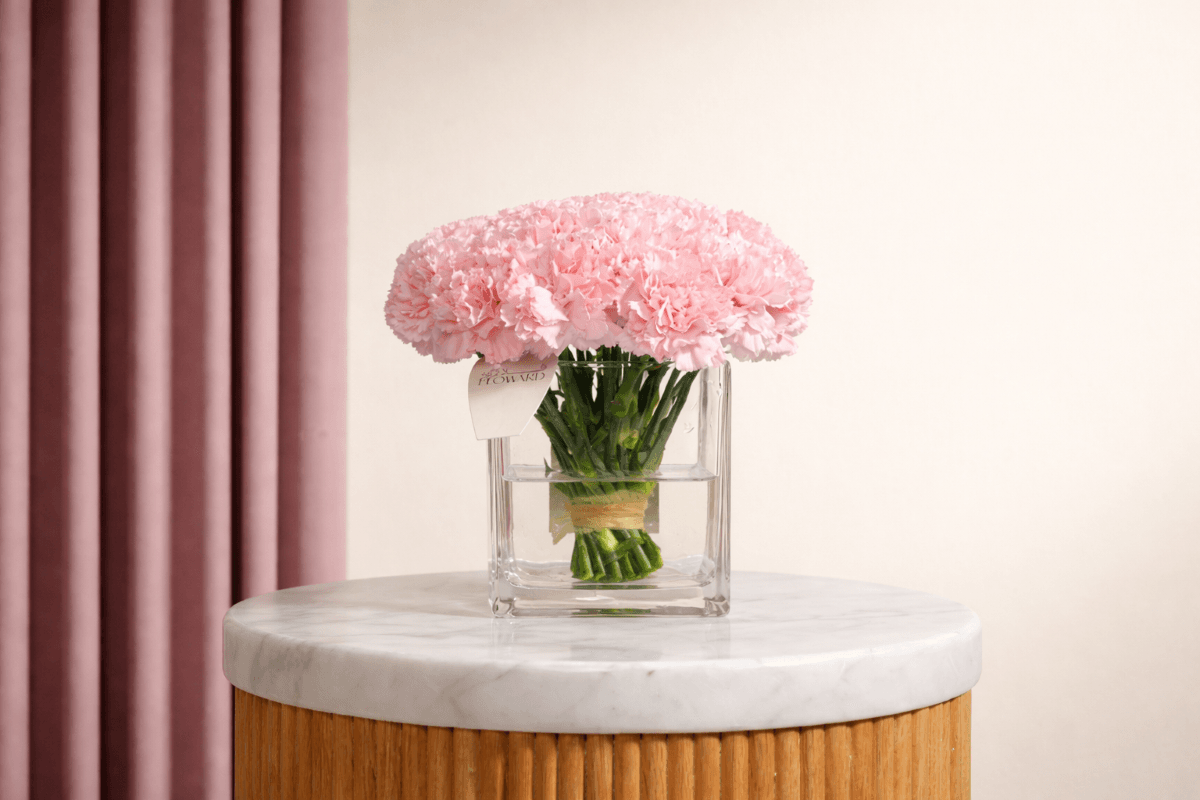 summer flowers carnations vase.png