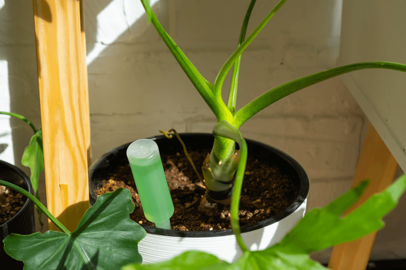 water bottle and spike watering system for people who travel.png