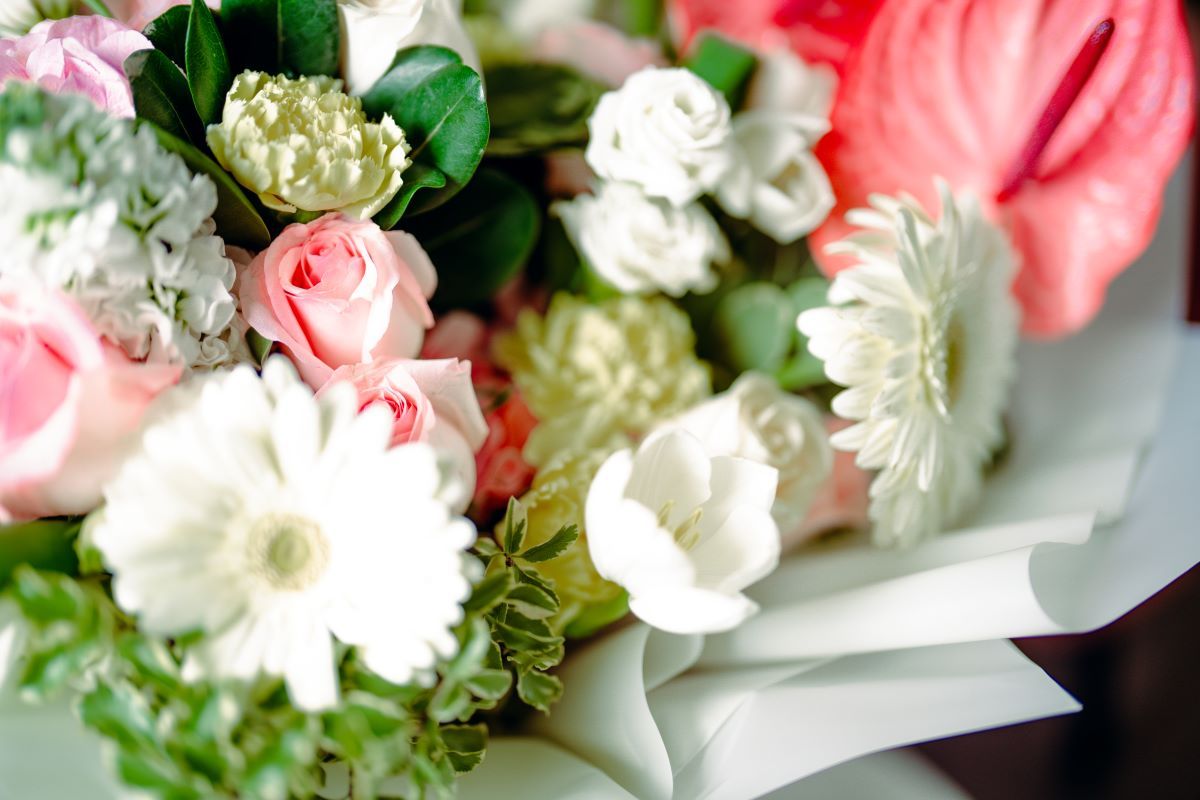what flower is best for apology.jpg