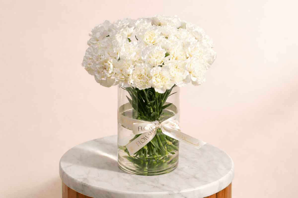 white carnations apology flowers.png